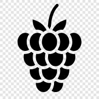 raspberry pi, raspberry ketone, raspberry lemonade, raspberry jam icon svg