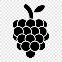 raspberry pi, raspberry jam, raspberry tart, raspberry wine icon svg