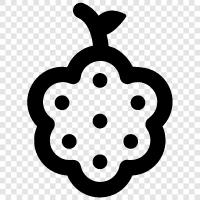 raspberry pi, raspberry tart, raspberry flavoured, raspberry flavoured ice cream icon svg