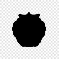 raspberry pi, raspberry ketone, raspberry seed, raspberry vinegar icon svg