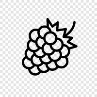 raspberry pi, raspberry tart, raspberry jam, raspberry cake icon svg