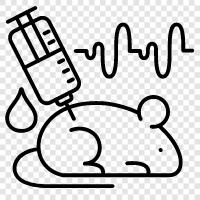 Rat, Animal, Pet, Science icon svg