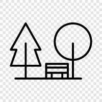 recreation, outdoor, recreation area, outdoor recreation icon svg