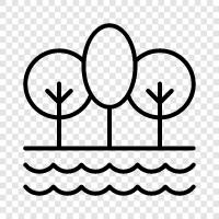 recreation, green, trees, nature icon svg