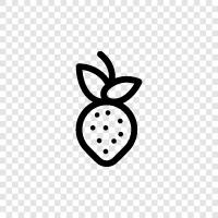 red, sweet, fruit, produce icon svg