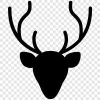 reindeer antlers, reindeer meat, reindeer farming, reindeer icon svg