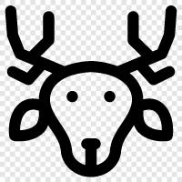 reindeer herding, reindeer farming, reindeer husband, reindeer icon svg