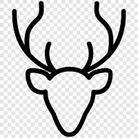 reindeer herding, reindeer ranching, reindeer icon svg