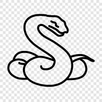 Reptile, Anacondas, constrictor, deadly icon svg