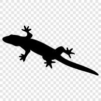 reptile, gecko, monitor lizard, bearded dragon icon svg