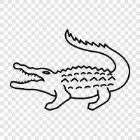 reptile, alligator, animal, amphibian icon svg