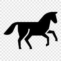 riding, tack, stable, horsemanship icon svg