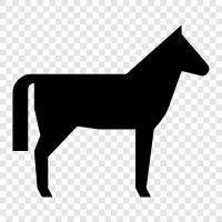 riding, saddle, horseshoe, horse racing icon svg