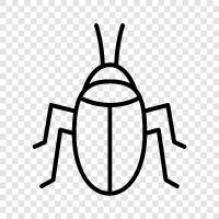 Roach, Insect, Bug, Ant icon svg