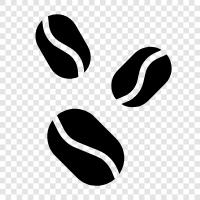 roaster, coffee, fresh, beans icon svg