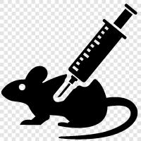 rodent injection, rat vaccine, rodent control, rodenticide icon svg