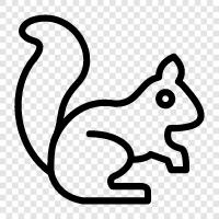 rodents, arboreal, acrobatic, agile icon svg