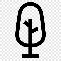 roots, trunk, leaves, growth icon svg