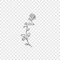 Rosemary, Rose, Rosaceae ikon svg