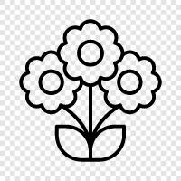 roses, daisy, lily, sunflower icon svg