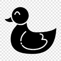 rubber duckies, bath time, ducks, cute icon svg