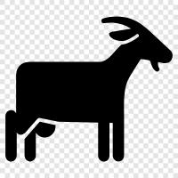 ruminant, milk, cheese, butter icon svg