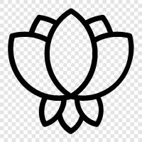 Sacred Lotus, Buddha s Flower, Holy Flower, Auspicious Symbol icon svg