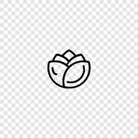 salad, vegetables, crunchy, fresh icon svg