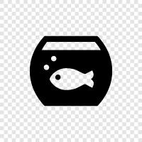 saltwater, marine, fish, coral icon svg