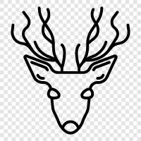 Santa, Christmas, Rudolph, gift icon svg