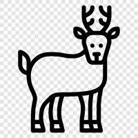 Santa, Christmas, reindeer antlers, Santa s sleigh icon svg