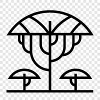 sapling, stem, leaves, bark icon svg