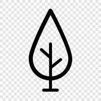 sapling, tree, forest, wood icon svg