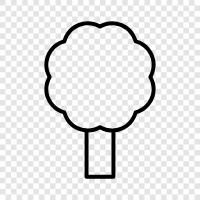 sapling, branch, leaves, needles icon svg