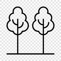 saplings, leaves, bark, fruit icon svg