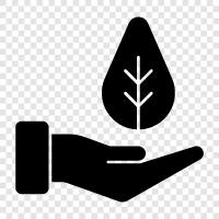 save plants, save plants from sun, save, save plant icon svg