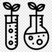 scientific, biochemical, petri dish, test tube icon svg