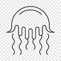 sea creatures, marine life, ocean life, Jellyfish icon svg