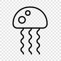 sea creatures, invertebrates, marine life, Jellyfish icon svg