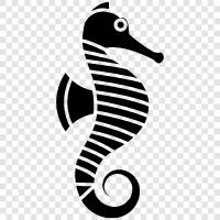 sea horse, seahorse, aquatic, marine icon svg