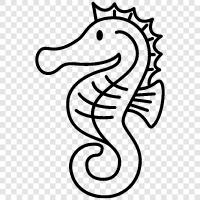 sea horse, cetacean, sea unicorn, seahorse ornament icon svg