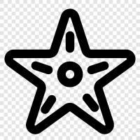 sea star, urchin, coral, marine life icon svg
