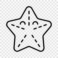 sea stars, brittle stars, asteroids, Starfish icon svg