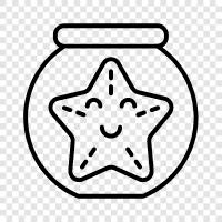 sea stars, urchins, brittle stars, anemones icon svg