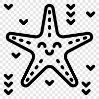 sea stars, urchins, sea cucumbers, anemones icon svg