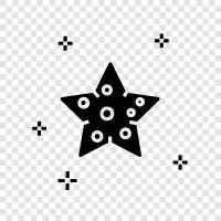 sea stars, echinoderms, fivepointed star, sea icon svg