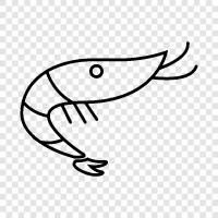 seafood, shellfish, cooked, fresh icon svg