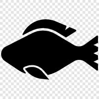 seafood, sushi, sashimi, fish farming icon svg