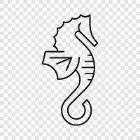 seahorse, aquarium, pet, fish icon svg