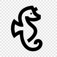 seahorse, fish, aquarium, pet icon svg